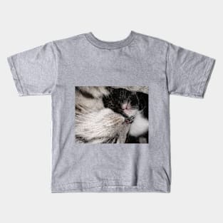 Love mum cat and baby cat Kids T-Shirt